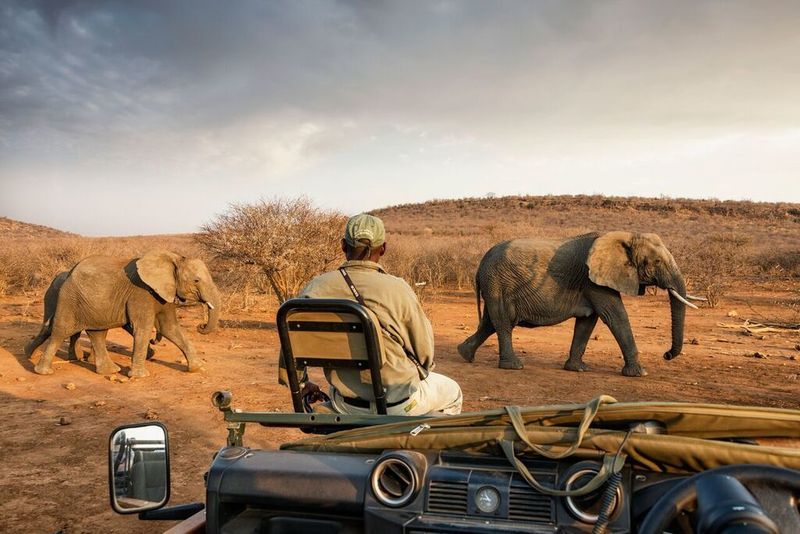 Impodimo Game Lodge Madikwe Wildreservaat Buitenkant foto